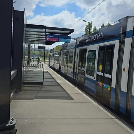 Проживание в семье Bharanya Homes Цюрих